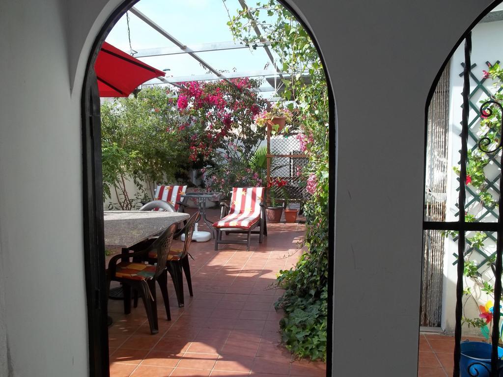 Madamme Curie Apartment Torrevieja Zewnętrze zdjęcie